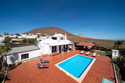lote 