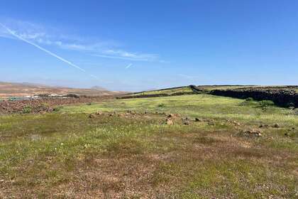 Terreno urbano venta en Tahiche, Teguise, Lanzarote. 