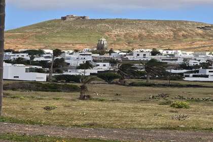 Percelen/boerderijen verkoop in Teguise, Lanzarote. 