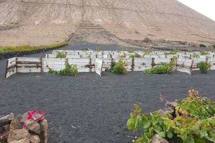 Landdistrikter / landbrugsjord til salg i Tinajo, Lanzarote. 