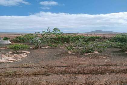 Дом Продажа в Antigua, Las Palmas, Fuerteventura. 