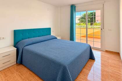 照片