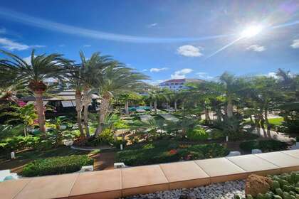 Sudio zu verkaufen in Playa de Las Americas, Arona, Santa Cruz de Tenerife, Tenerife. 