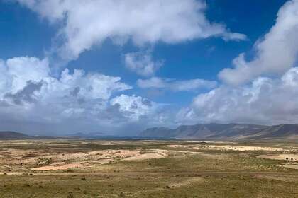 Grundstück/Finca zu verkaufen in Teguise, Lanzarote. 