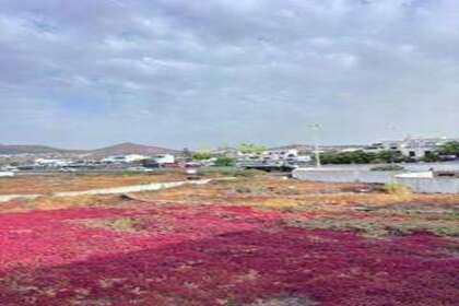 Grund til salg i Tías, Lanzarote. 