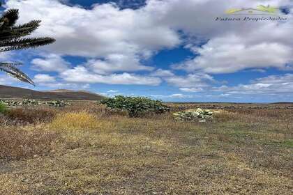 Plot for sale in La Vegueta, Tinajo, Lanzarote. 