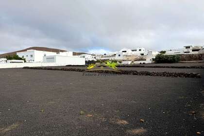 Terreno vendita in San Bartolomé, Lanzarote. 