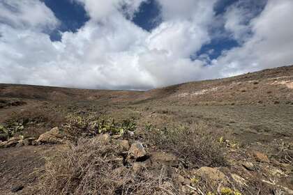 Rural/Agricultural land for sale in Ye, Haría, Lanzarote. 