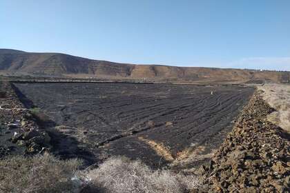 Terreni agricoli vendita in El Cuchillo, Tinajo, Lanzarote. 