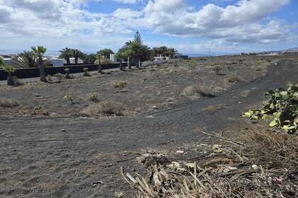 Pozemky na prodej v Vega de Tegoyo, Tías, Lanzarote. 
