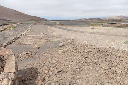 Plot for sale in La Vegueta, Tinajo, Lanzarote. 