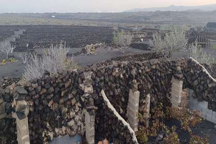 Сельский участок Продажа в Arrieta, Haría, Lanzarote. 