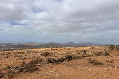 Terreni agricoli vendita in La Villa, Teguise, Lanzarote. 