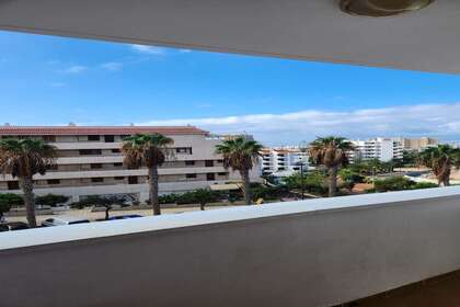 Appartamento 1bed vendita in Los Cristianos, Arona, Santa Cruz de Tenerife, Tenerife. 