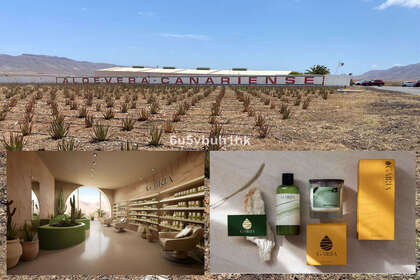Plot for sale in Antigua, Las Palmas, Fuerteventura. 