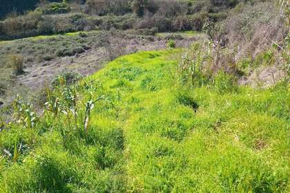 Casa di campagna vendita in Zumacal, Valleseco, Las Palmas, Gran Canaria. 