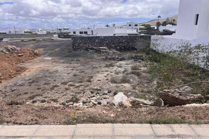 Pozemky na prodej v La Vegueta, Tinajo, Lanzarote. 