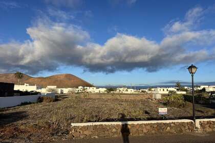 Grundstück/Finca zu verkaufen in Guatiza, Teguise, Lanzarote. 