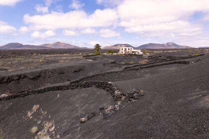 Villas til salg i La Geria, Yaiza, Lanzarote. 