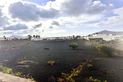 Grundstück/Finca zu verkaufen in Tajaste, Tinajo, Lanzarote. 